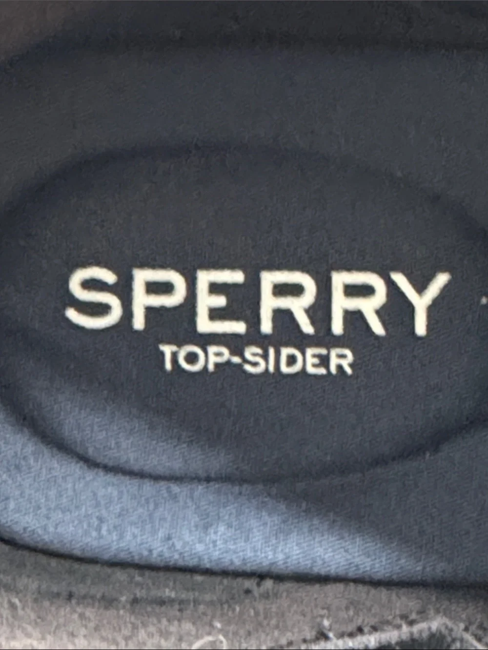 Sperry chukka style